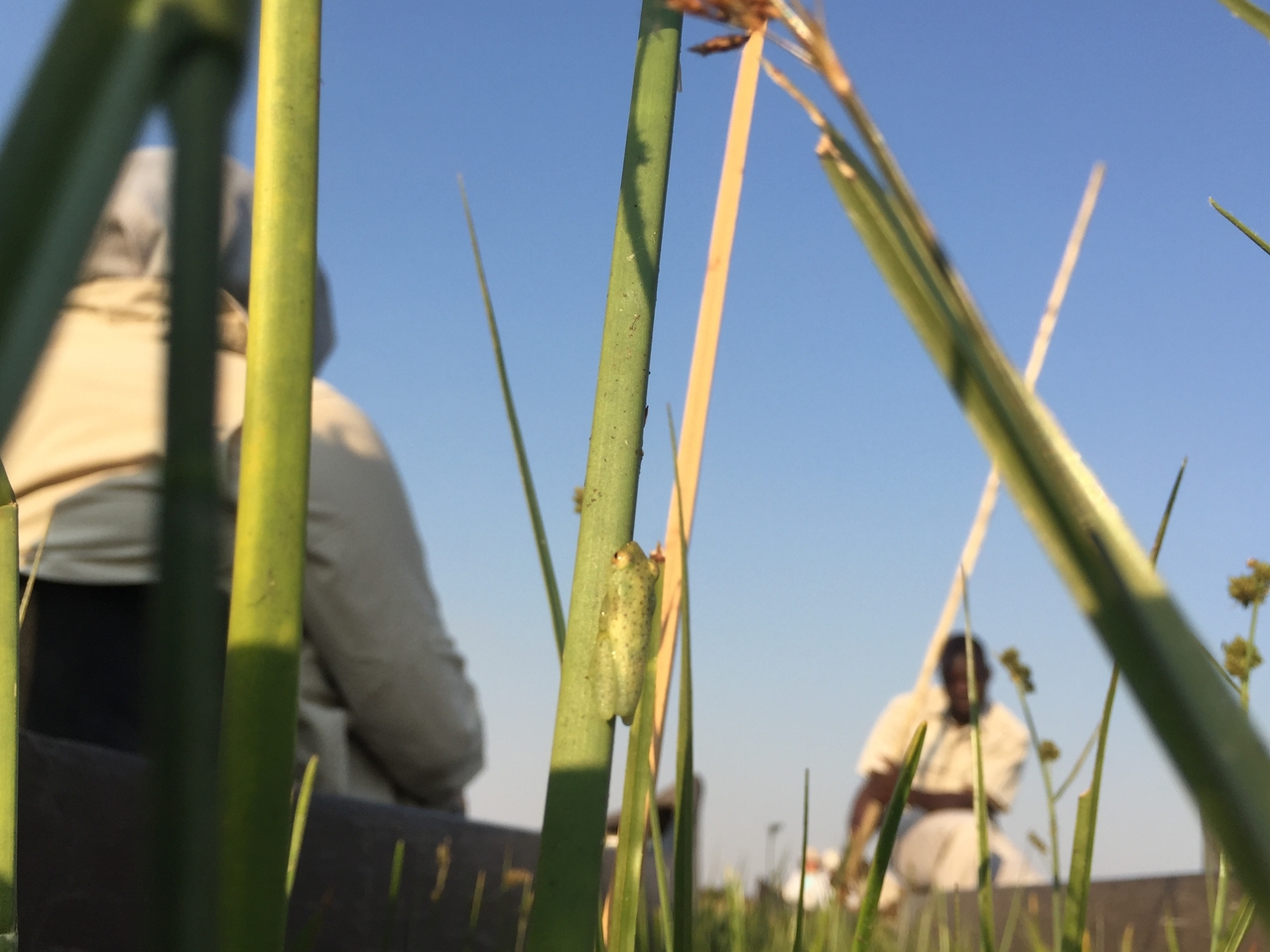 [27284] 2016_07_01_16_37_18_Africa_iPhone_6_IMG_8674_00609.jpg