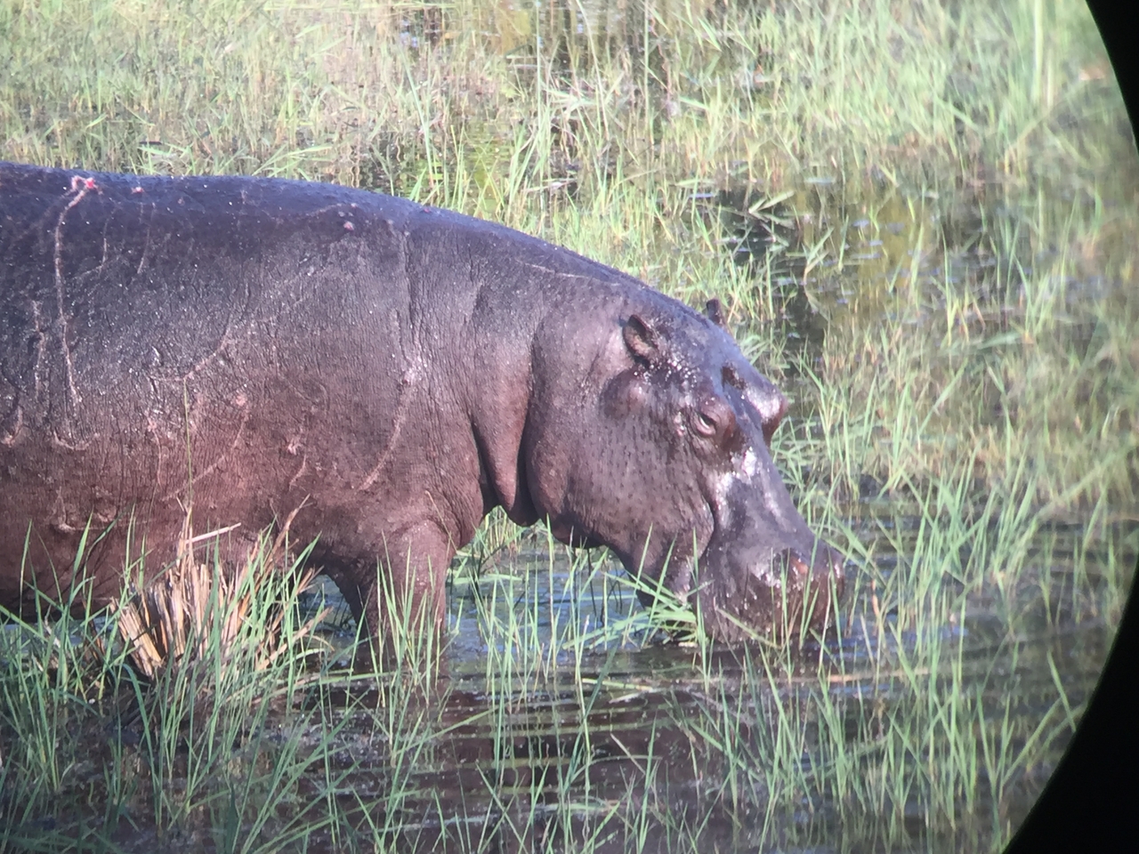 [27951] 2016_07_02_08_43_08_Africa_iPhone_6_IMG_8729_00653.jpg