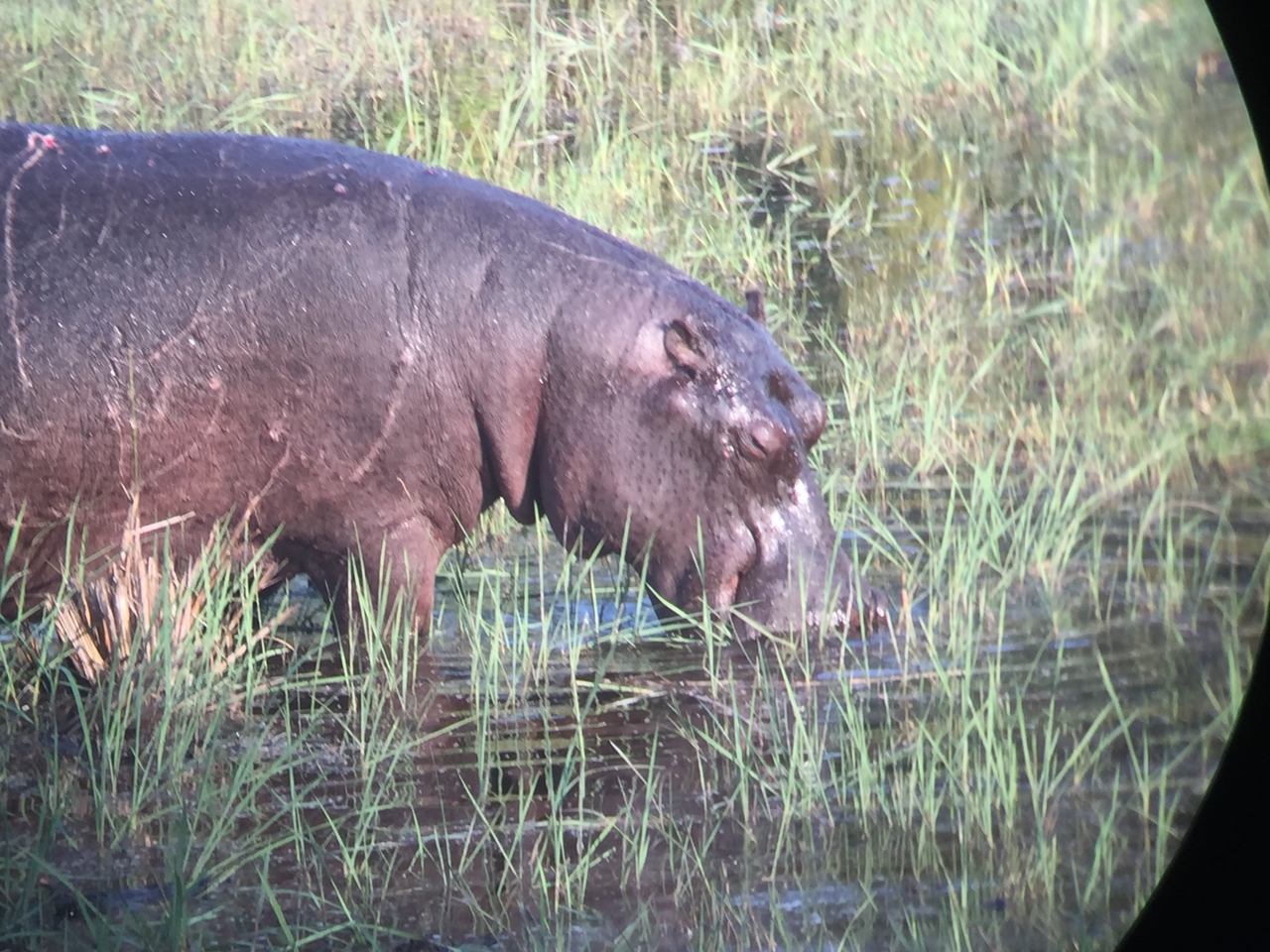 [27955] 2016_07_02_08_43_08_Africa_iPhone_6_IMG_8730_01236.jpg