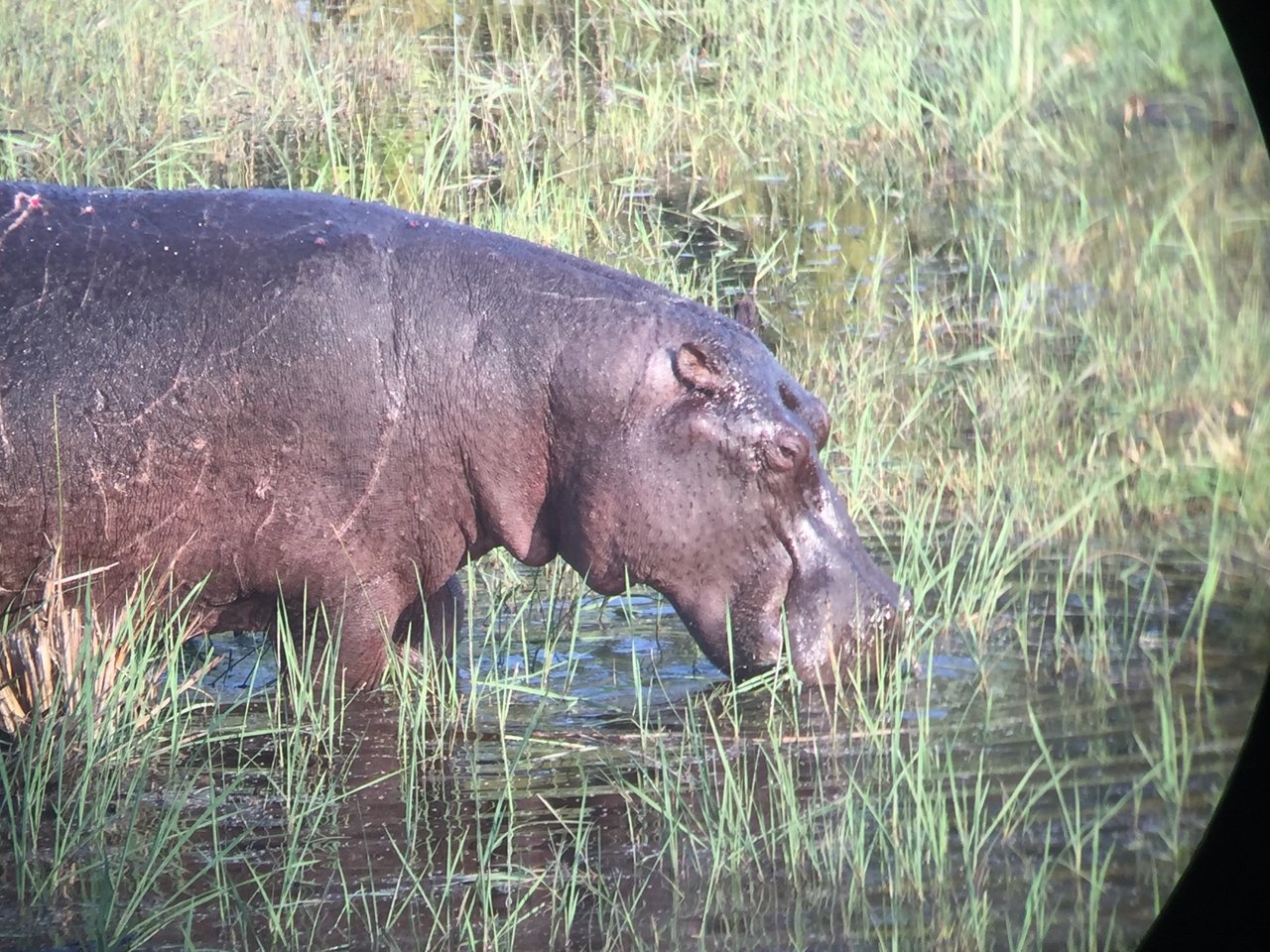 [27959] 2016_07_02_08_43_11_Africa_iPhone_6_IMG_8731_03578.jpg