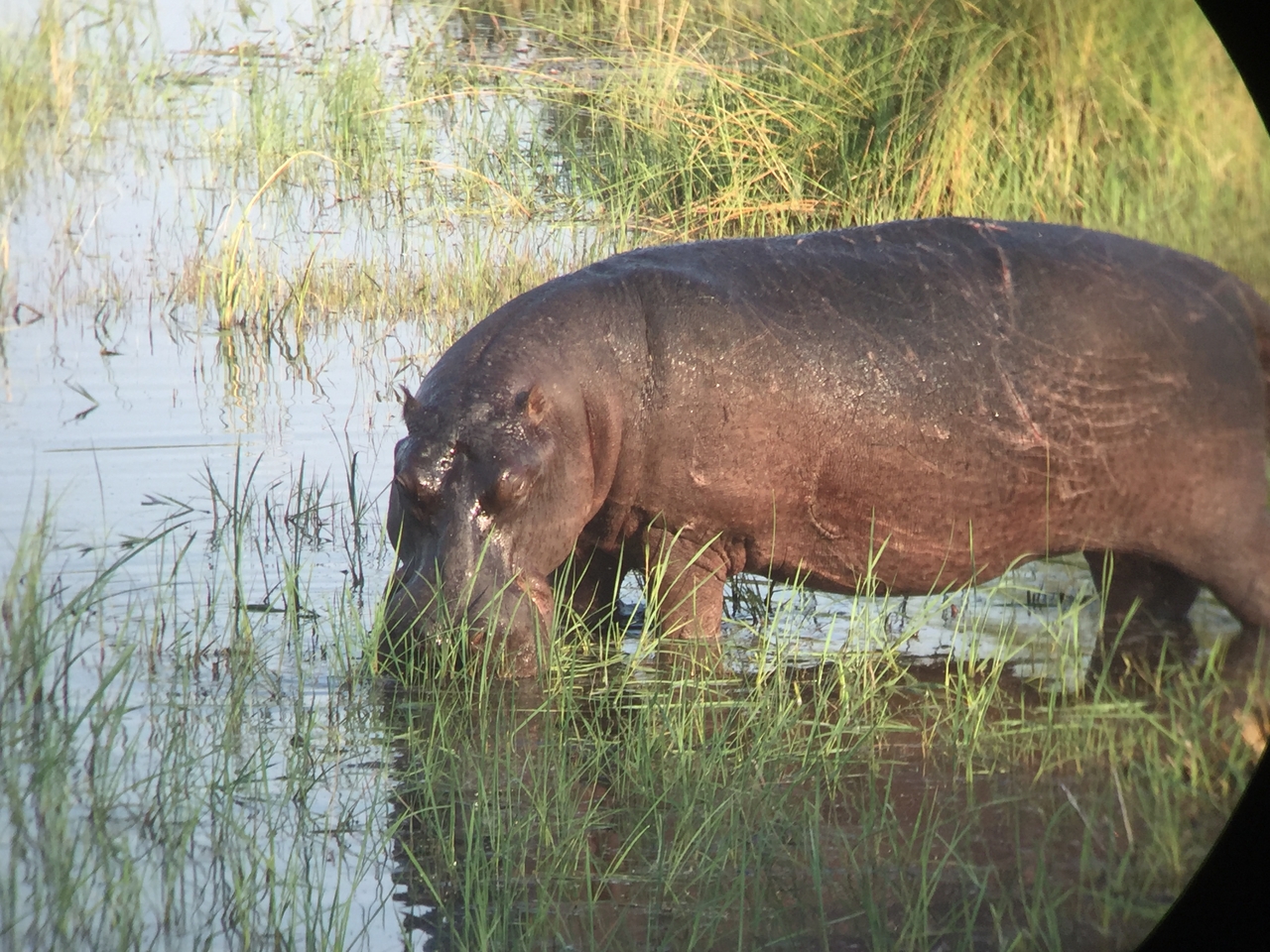 [27963] 2016_07_02_08_44_54_Africa_iPhone_6_IMG_8733_00657.jpg