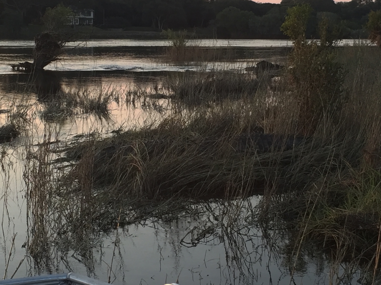 [28827] 2016_07_02_17_35_58_Africa_iPhone_6_IMG_8781_00698.jpg