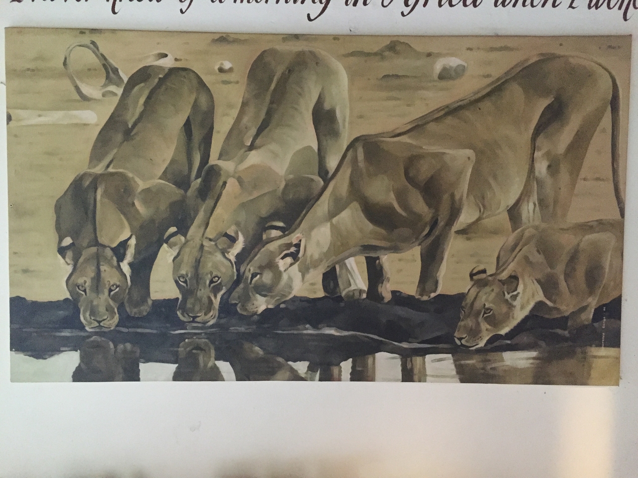 [31214] 2016_07_03_07_15_33_Africa_iPhone_6_IMG_8784_03624.jpg