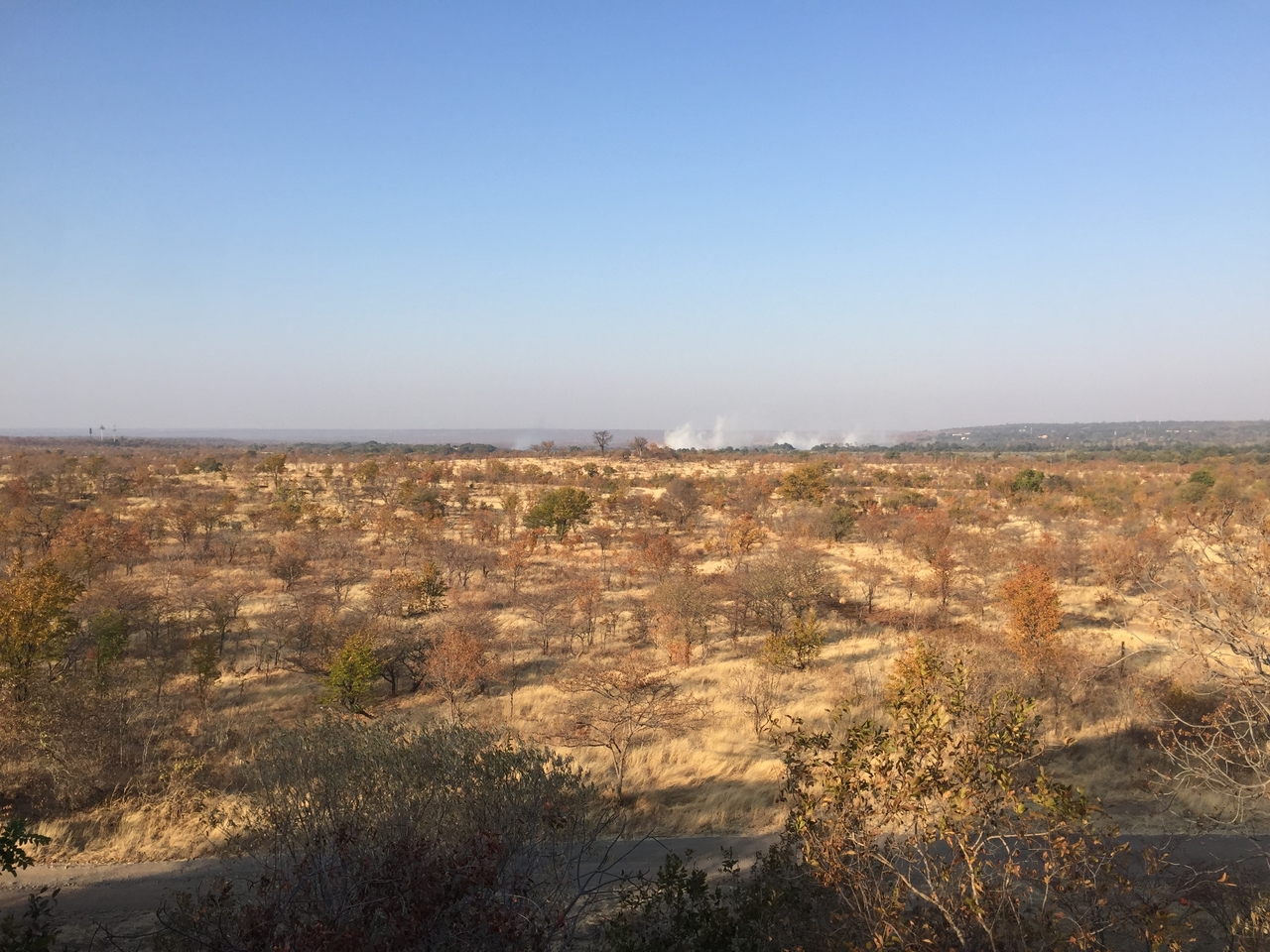 [31219] 2016_07_03_08_07_30_Africa_iPhone_6_IMG_8785_01284.jpg