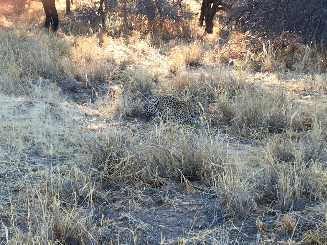 [3573] 2016_06_22_15_59_25_Africa_iPhone_6_Plus_IMG_3474_06735.jpg