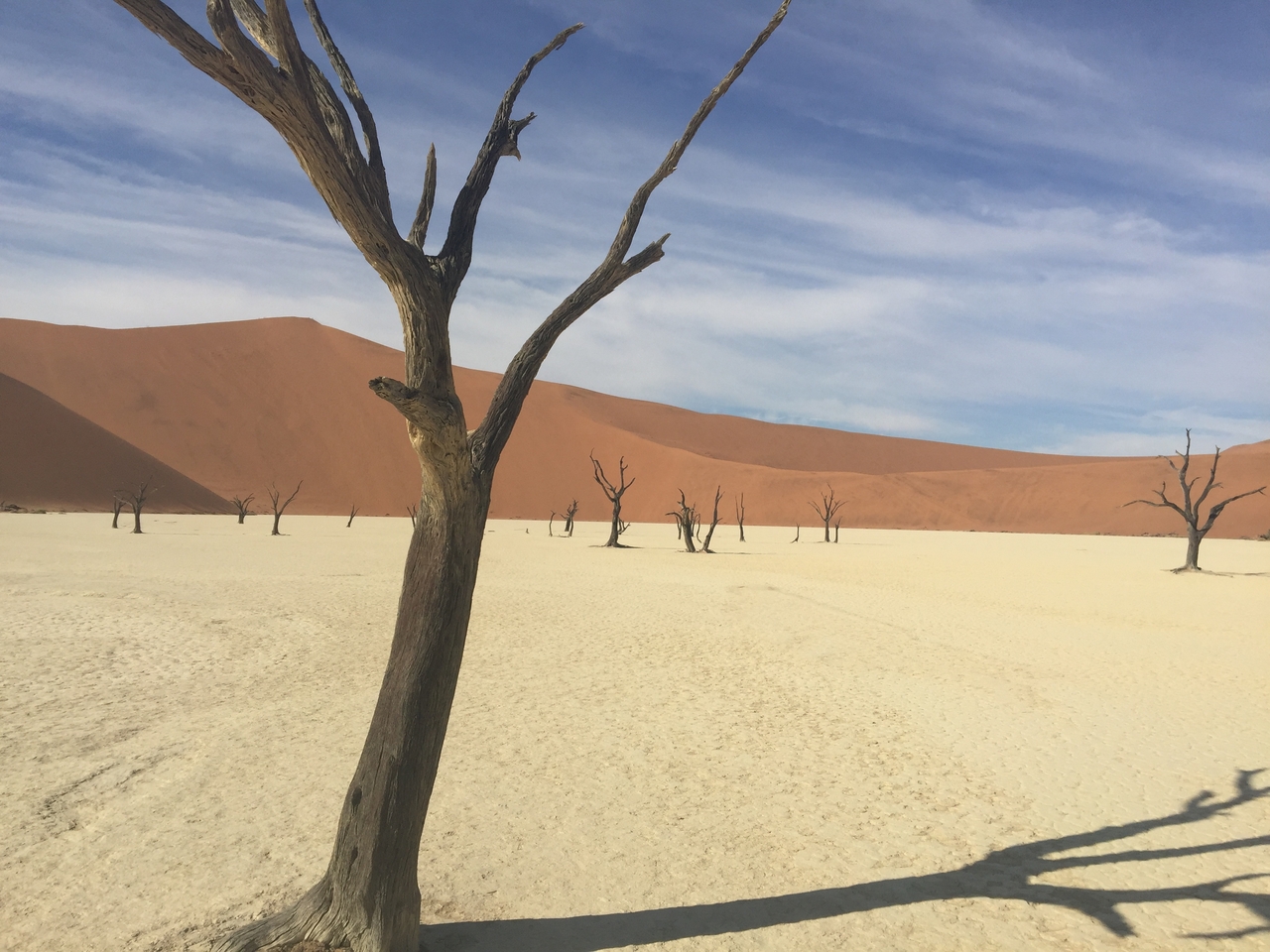 [16035] 2016_06_25_09_54_04_Africa_iPhone_6_Plus_IMG_3681_00292.jpg