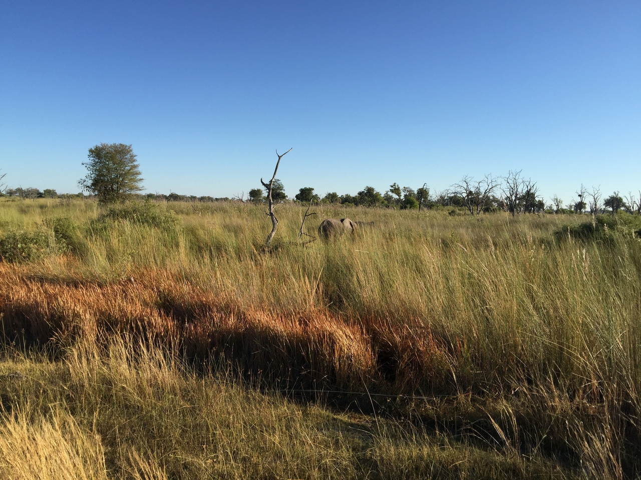 [19835] 2016_06_28_07_16_02_Africa_iPhone_6_Plus_IMG_3782_00374.jpg