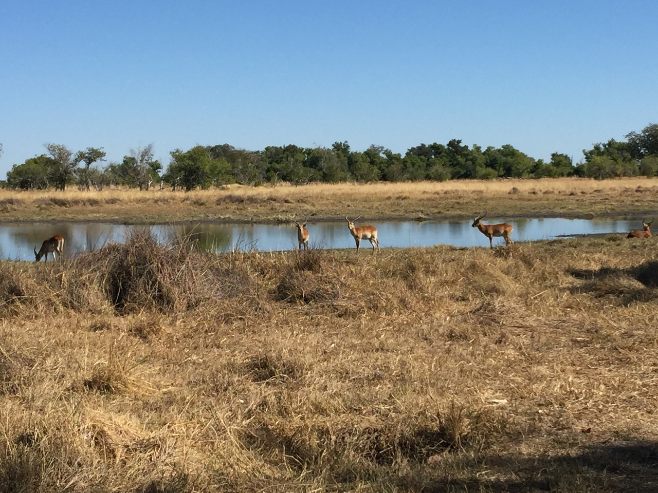 [20025] 2016_06_28_10_33_22_Africa_iPhone_6_Plus_IMG_3828_06970.jpg