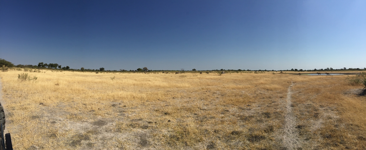 [25270] 2016_06_30_12_05_05_Africa_iPhone_6_Plus_IMG_3961_00459.jpg