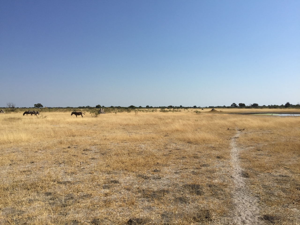 [25274] 2016_06_30_12_06_58_Africa_iPhone_6_Plus_IMG_3963_00461.jpg