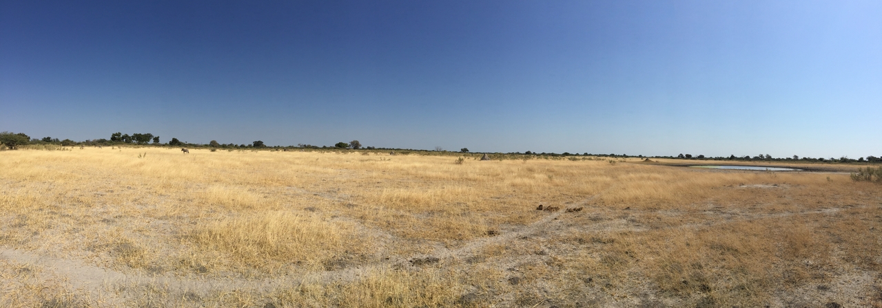 [25282] 2016_06_30_12_11_46_Africa_iPhone_6_Plus_IMG_3967_00465.jpg