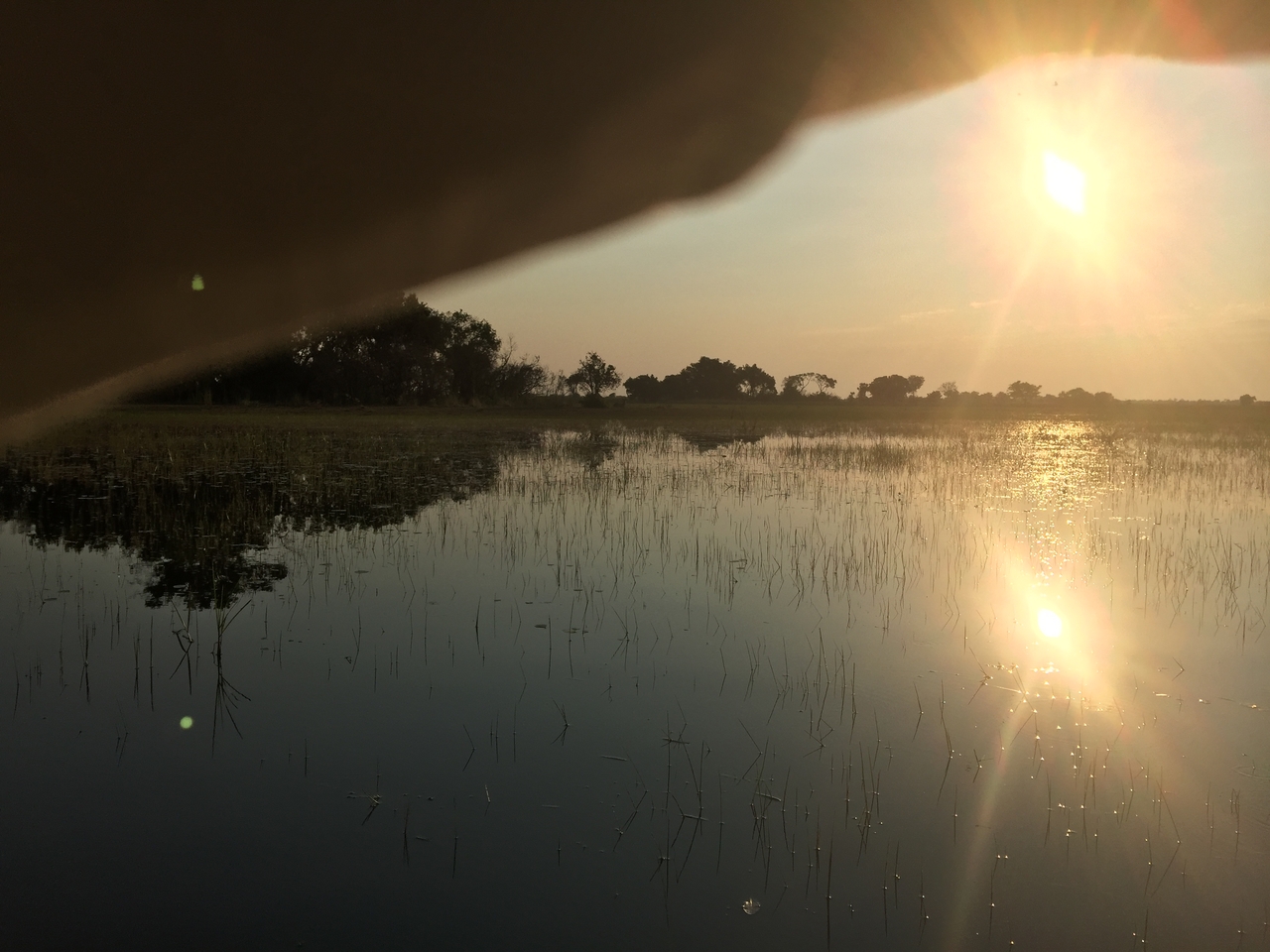 [27371] 2016_07_01_17_07_34_Africa_iPhone_6_Plus_IMG_4581_00085.jpg