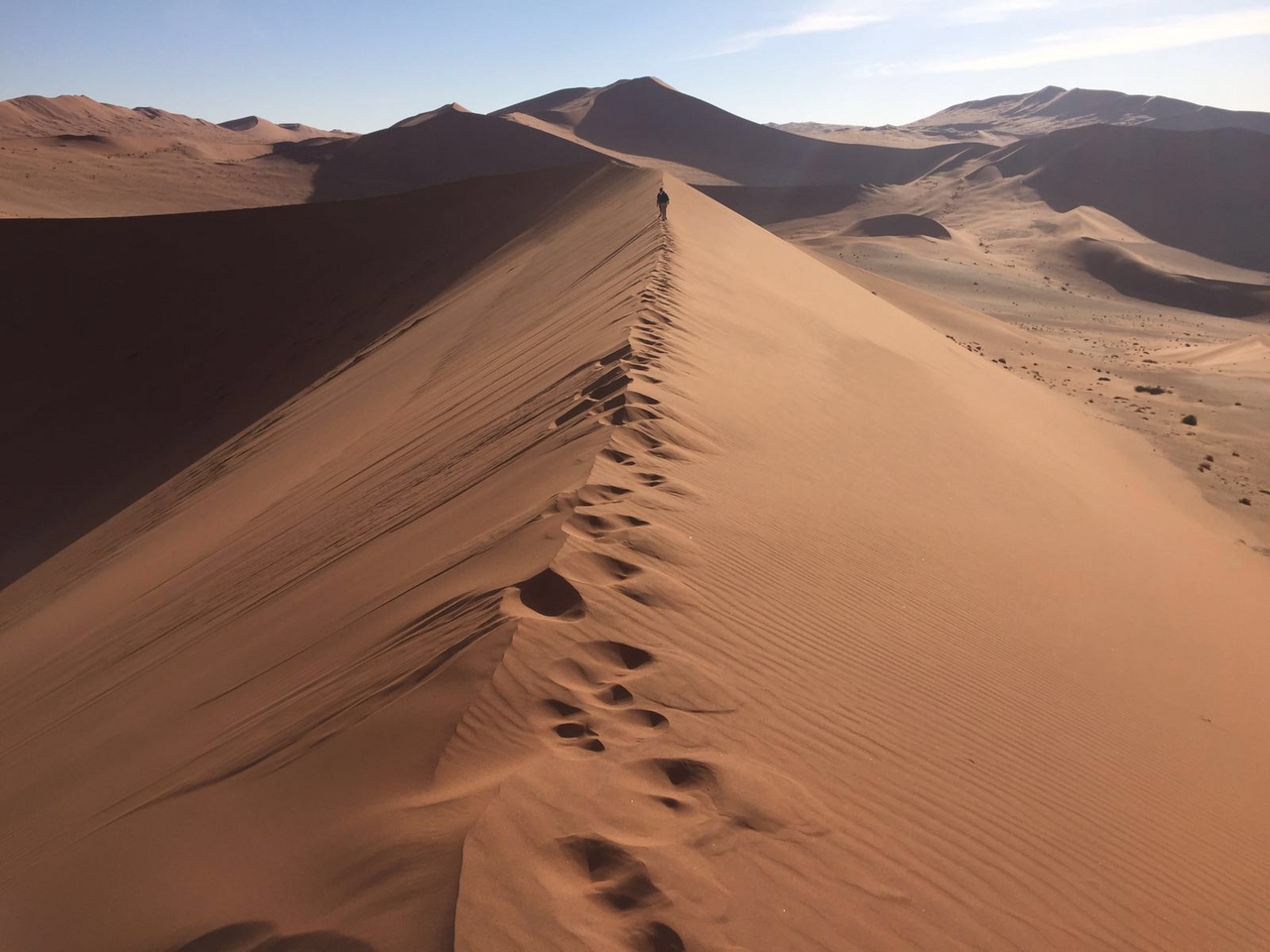 [34698] 2016_08_07_19_06_00-04_00_Africa_Other_Cameras_IMG_3724_00331.jpg