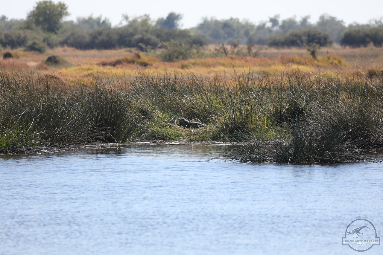 [34] 2019_06_20_15_59_26_Africa_Canon_EOS_5D_Mark_IV_IMG_0001243_00010.jpg
