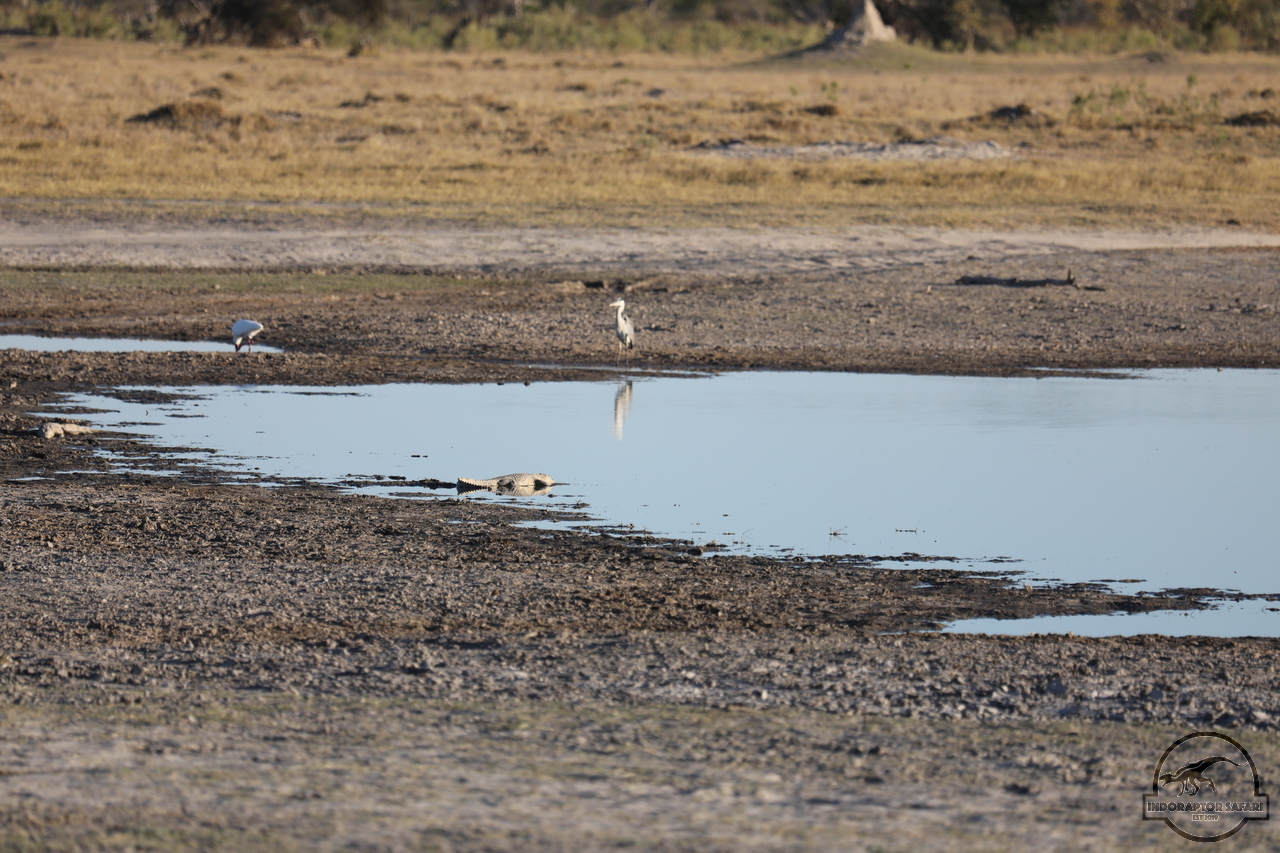 [37] 2019_06_21_22_12_11_Africa_Canon_EOS_5D_Mark_IV_IMG_0004372_00011.jpg