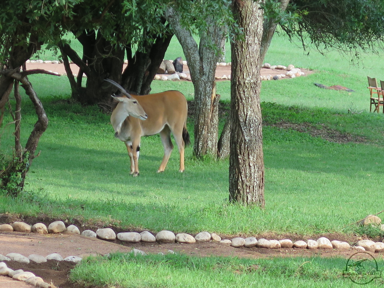 [44] 2019_06_29_09_48_12_Africa_Canon_PowerShot_G16_IMG_0196_00002.jpg