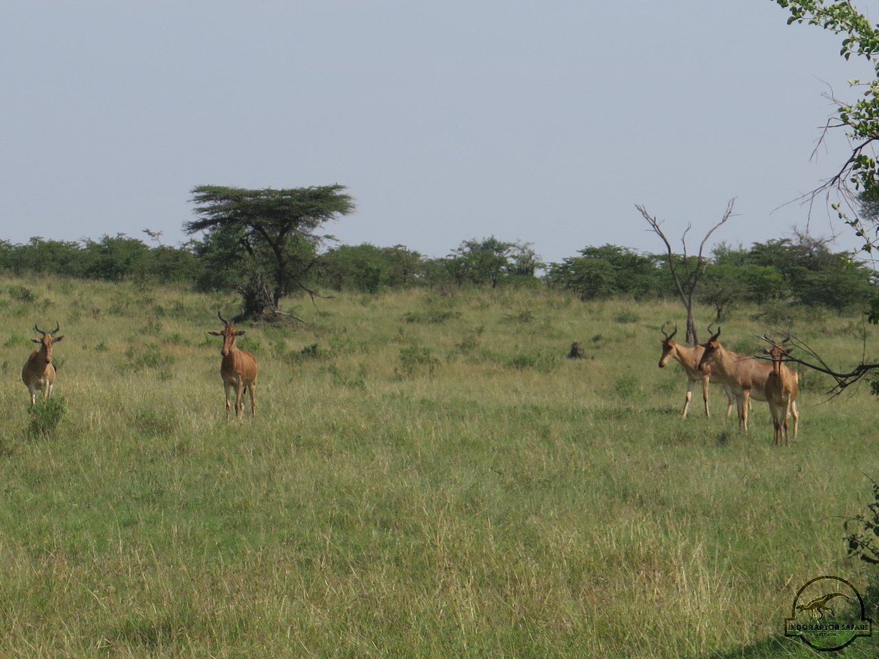 [105] 2019_06_30_03_46_10_Africa_Canon_PowerShot_G16_IMG_0079_00024.jpg