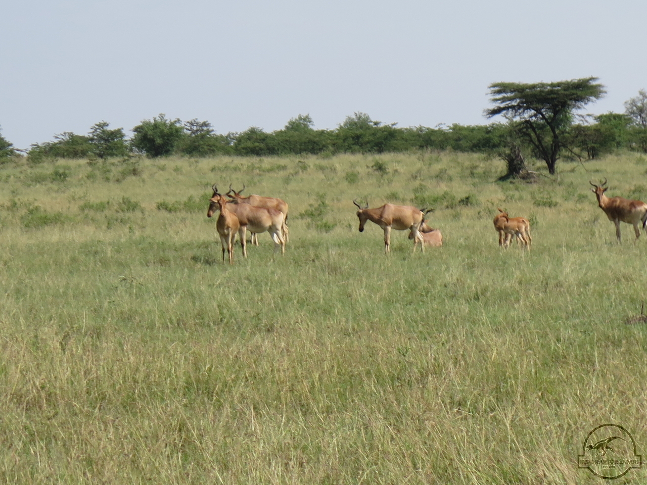 [111] 2019_06_30_03_46_17_Africa_Canon_PowerShot_G16_IMG_0081_00026.jpg