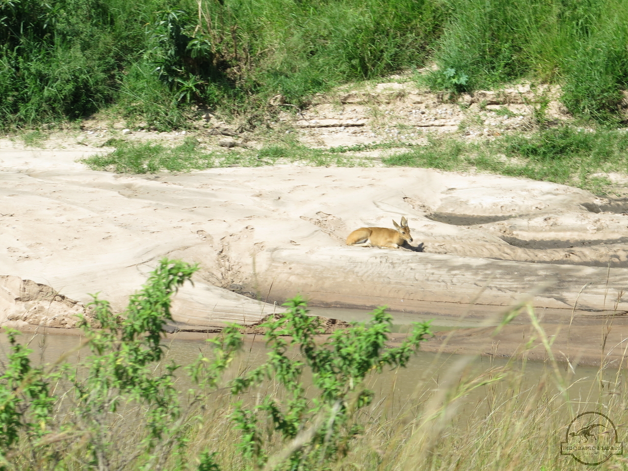 [149] 2019_07_01_04_10_04_Africa_Canon_PowerShot_G16_IMG_0198_00005.jpg