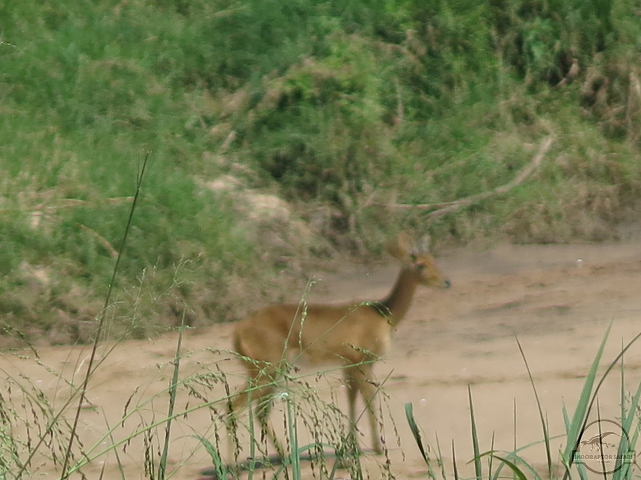 [178] 2019_07_03_05_30_27_Africa_Canon_PowerShot_G16_IMG_0141_00068.jpg