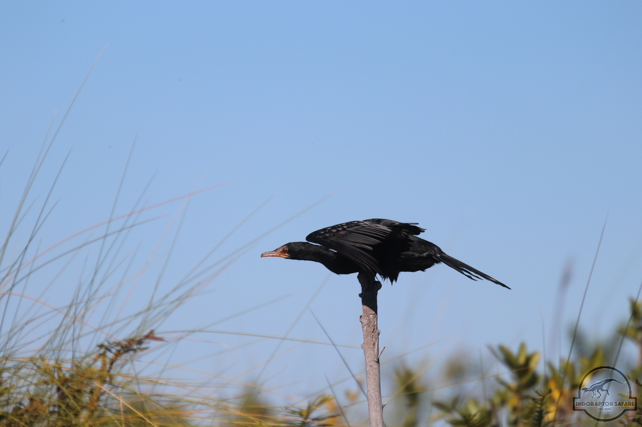 [296] 2019_06_21_14_55_26_Africa_Canon_EOS_77D_IMG_0745_00002.jpg