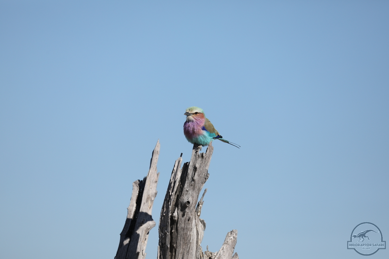[320] 2019_06_20_14_50_43_Africa_Canon_EOS_5D_Mark_IV_IMG_0001093_00001.jpg