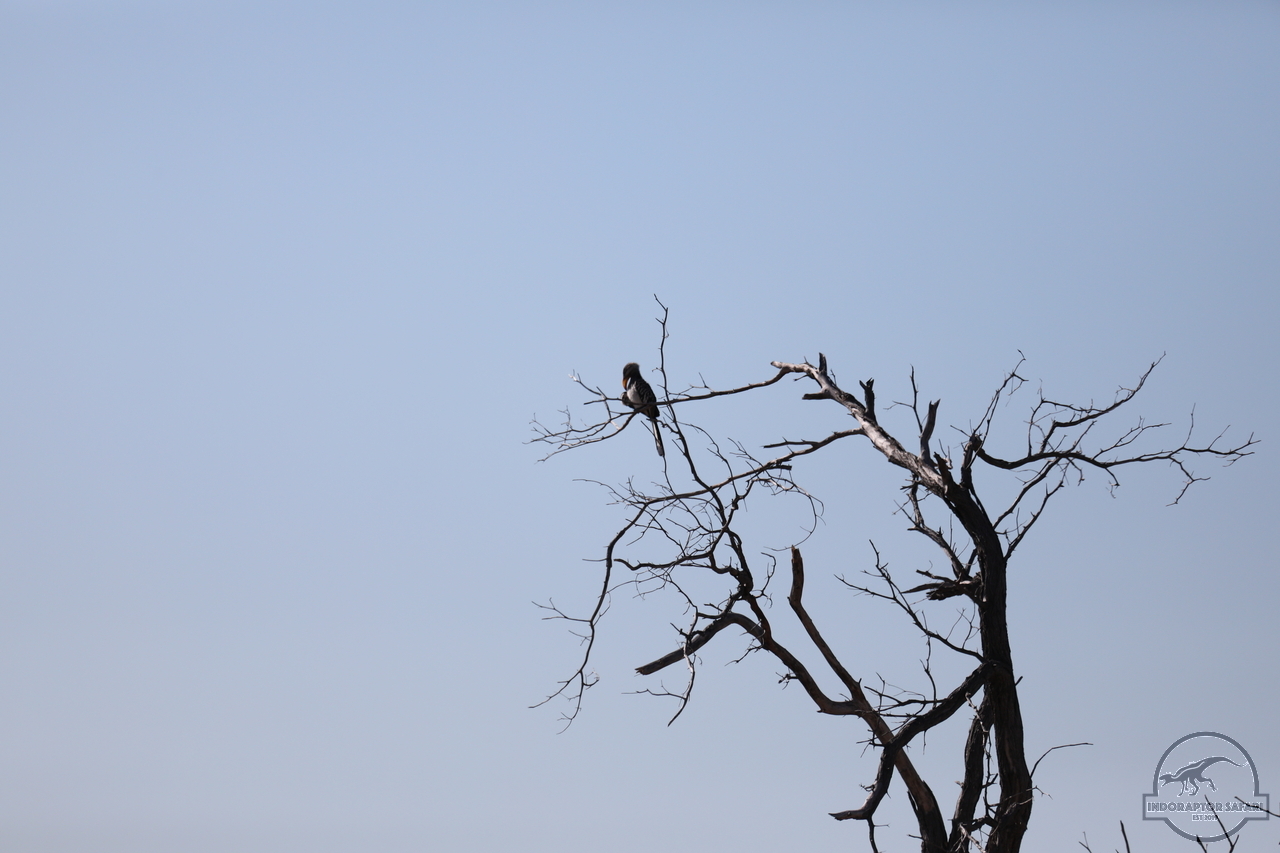 [413] 2019_06_22_14_54_04_Africa_Canon_EOS_5D_Mark_IV_IMG_0002725_00001.jpg