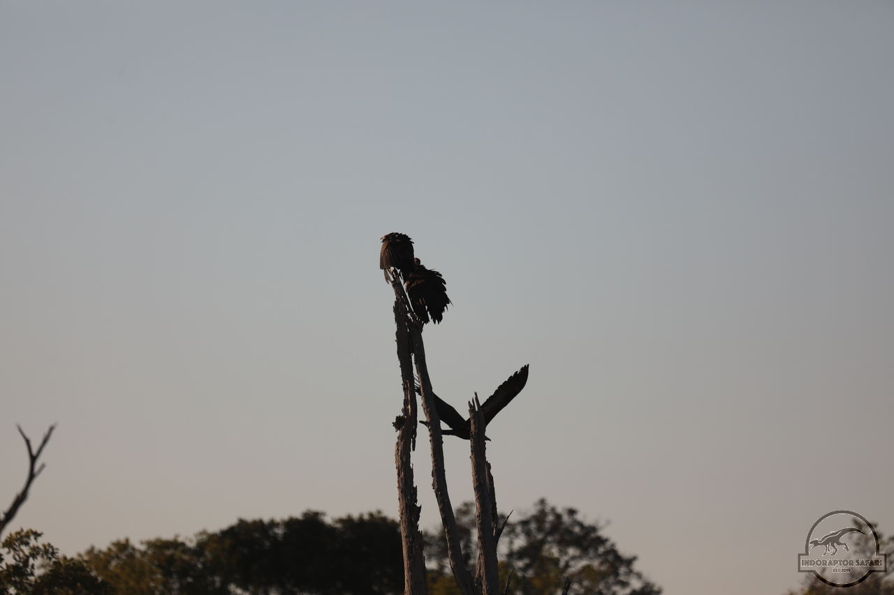 [434] 2019_06_20_12_41_31_Africa_Canon_EOS_5D_Mark_IV_IMG_0000798_00001.jpg