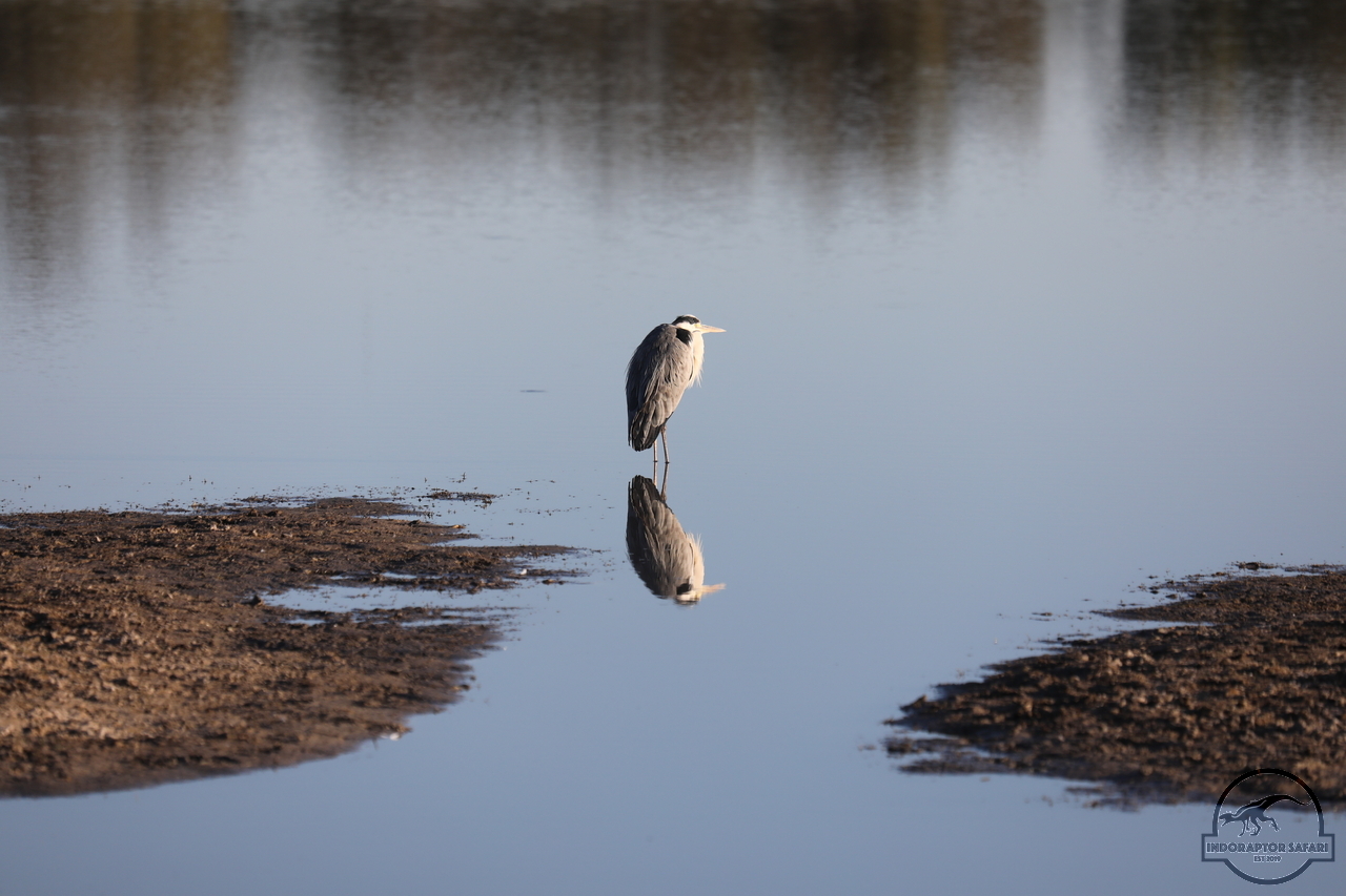[466] 2019_06_21_12_49_20_Africa_Canon_EOS_5D_Mark_IV_IMG_0003678_00166.jpg