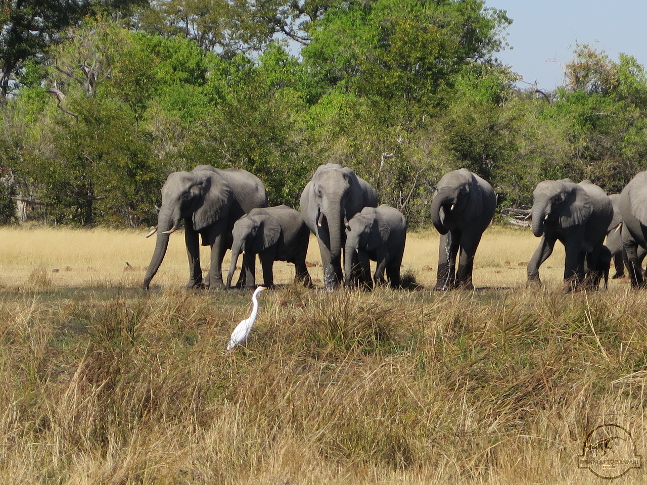 [533] 2019_06_20_05_41_27_Africa_Canon_PowerShot_G16_IMG_0095_00026.jpg