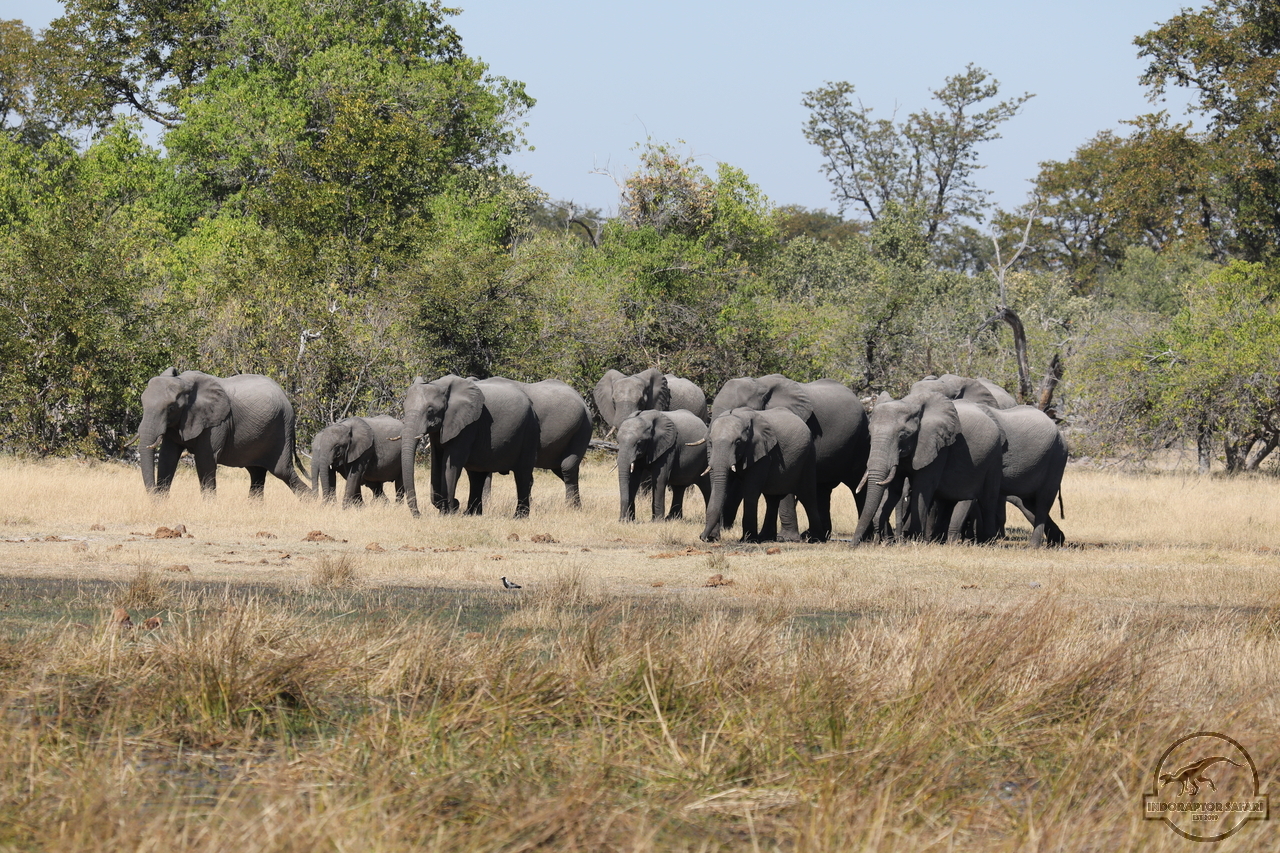 [558] 2019_06_20_16_50_57_Africa_Canon_EOS_5D_Mark_IV_IMG_0002239_00208.jpg