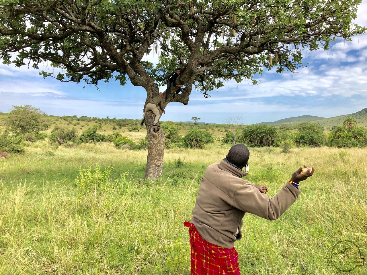 [1004] 2019_07_04_10_27_49_Africa_iPhone_X_IMG_4636_00395.jpg