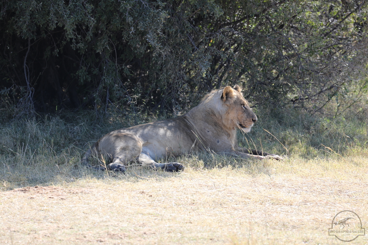 [1072] 2019_06_20_16_06_33_Africa_Canon_EOS_5D_Mark_IV_IMG_0001267_00468.jpg