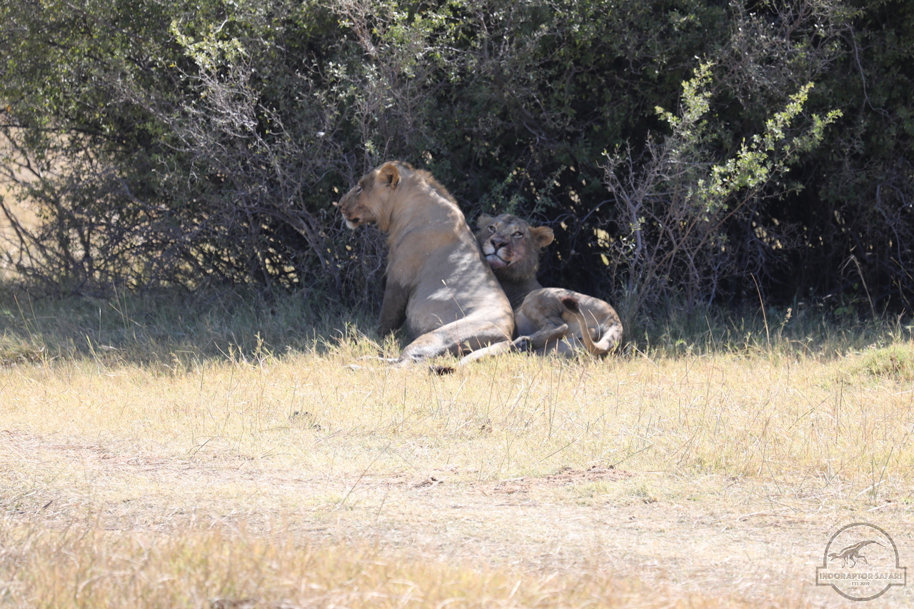 [1079] 2019_06_20_16_09_00_Africa_Canon_EOS_5D_Mark_IV_IMG_0001336_00005.jpg