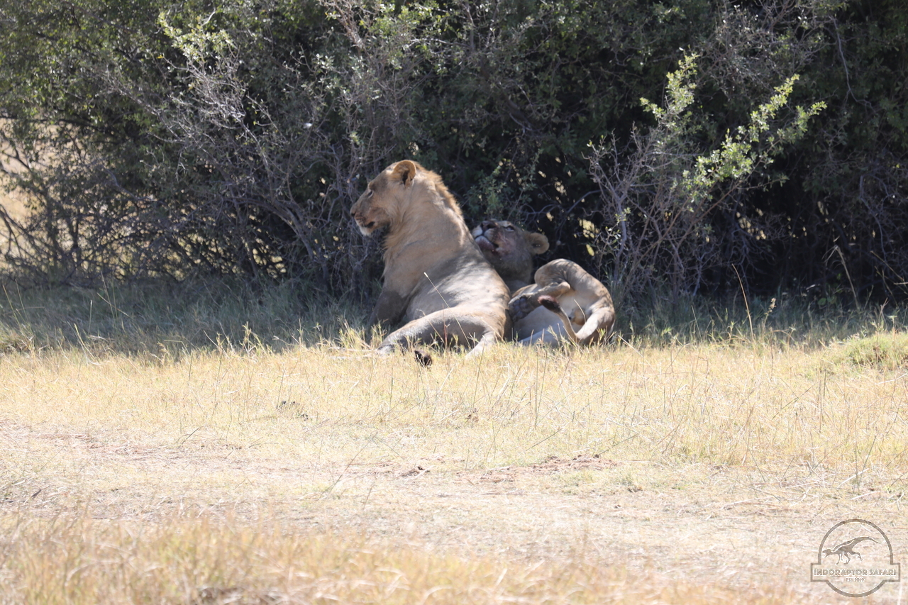 [1081] 2019_06_20_16_09_00_Africa_Canon_EOS_5D_Mark_IV_IMG_0001337_00006.jpg