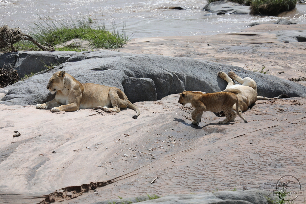 [1107] 2019_06_30_16_17_13_Africa_Canon_EOS_5D_Mark_IV_IMG_0009013_00018.jpg