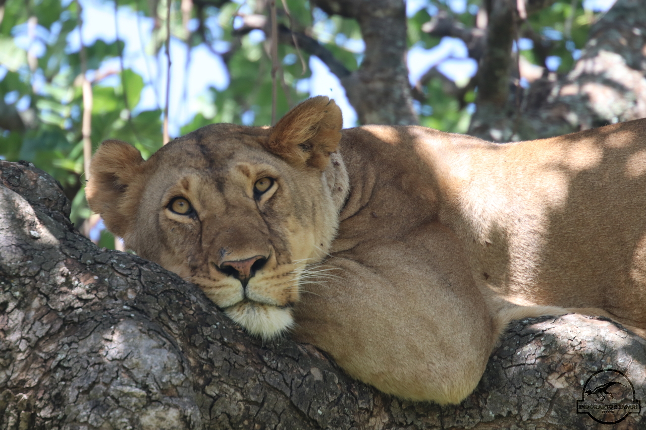 [1134] 2019_07_03_13_39_23_Africa_Canon_EOS_77D_IMG_3679_00503.jpg
