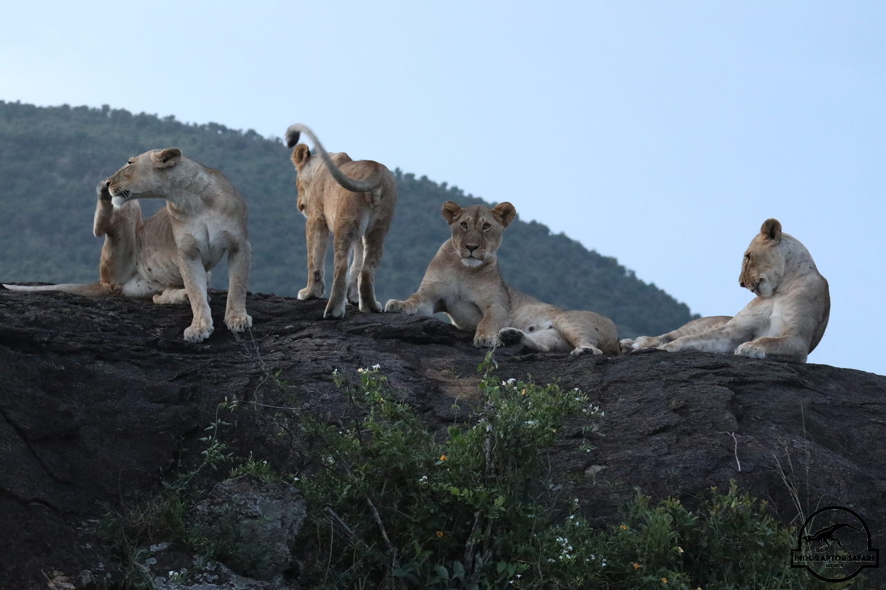 [1149] 2019_07_03_22_52_52_Africa_Canon_EOS_5D_Mark_IV_IMG_0015210_00028.jpg