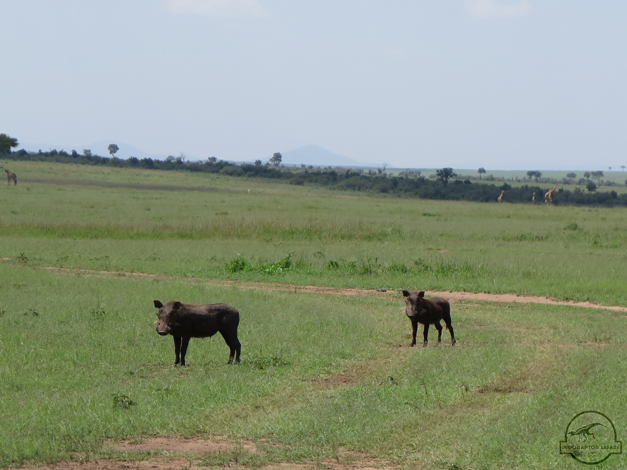 [1222] 2019_07_01_05_16_09_Africa_Canon_PowerShot_G16_IMG_0240_00543.jpg