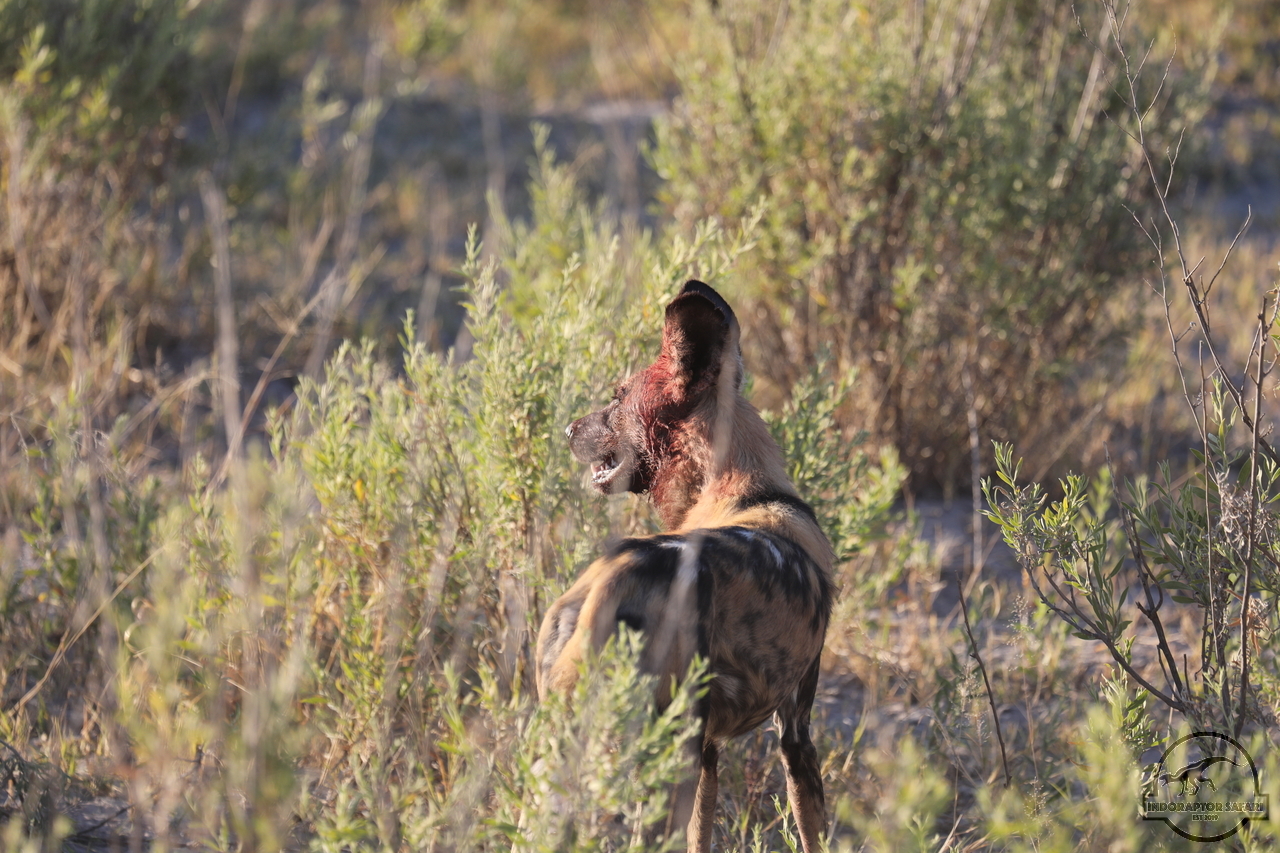 [1234] 2019_06_20_12_45_13_Africa_Canon_EOS_5D_Mark_IV_IMG_0000862_00547.jpg