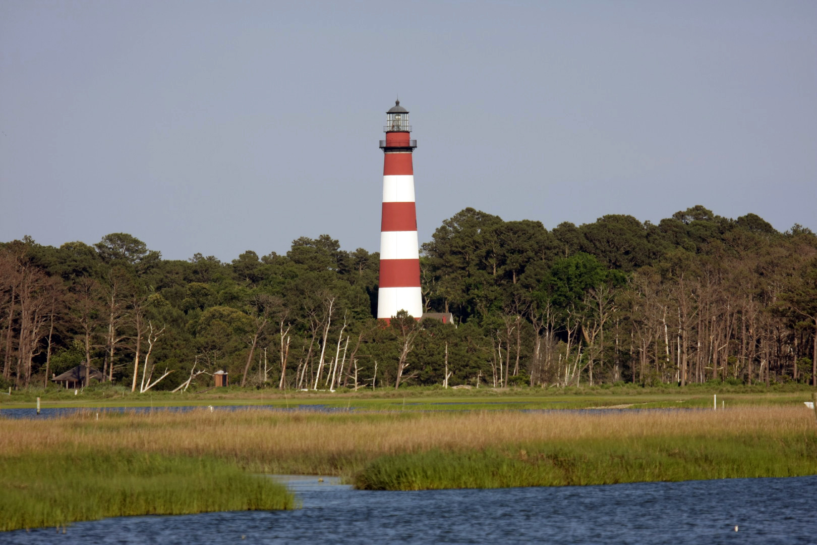Assateague Island Vacation | 13-18 June 2014 | Sat, 14 Jun 2014 | 6:42:50 PM Assateague Island Vacation | 13-18 June 2014 | Sat, 14 Jun 2014 | 6:42:50 PM