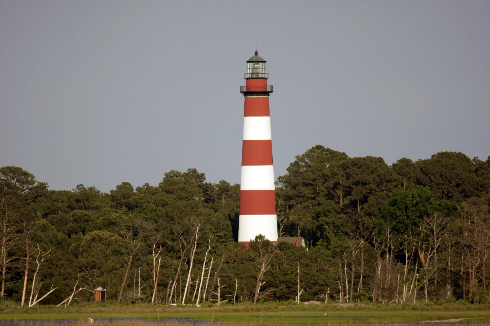 Assateague Island Vacation | 13-18 June 2014 | Sat, 14 Jun 2014 | 6:43:06 PM Assateague Island Vacation | 13-18 June 2014 | Sat, 14 Jun 2014 | 6:43:06 PM