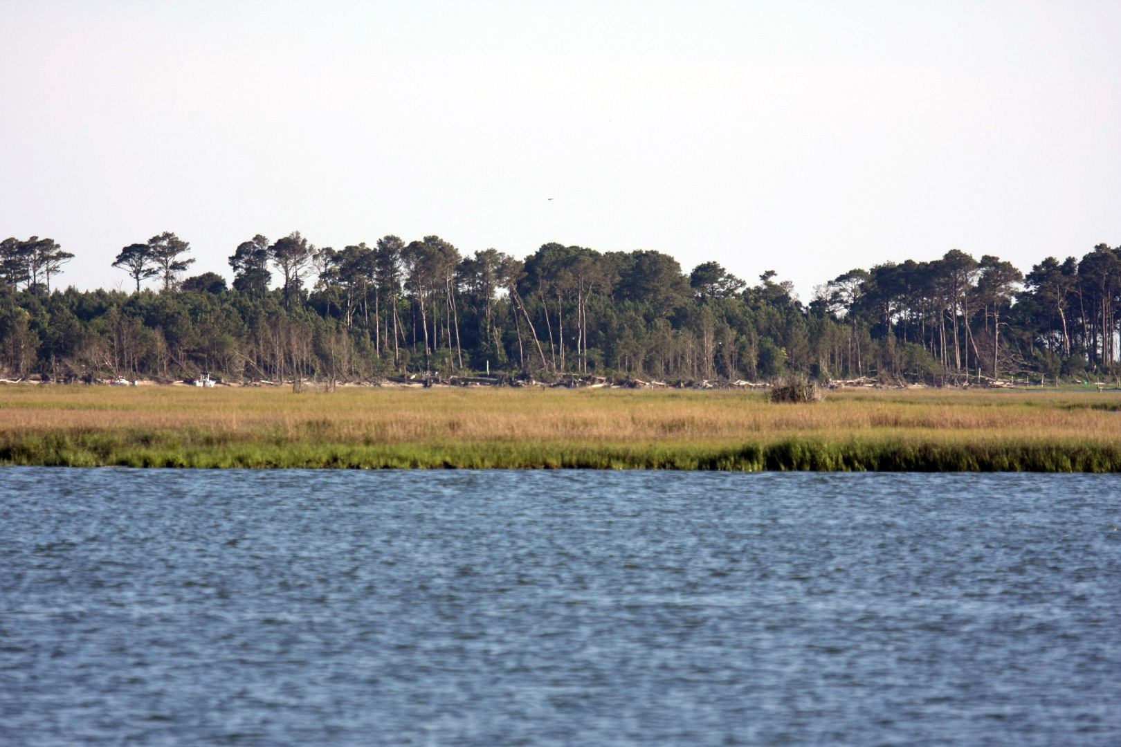 Assateague Island Vacation | 13-18 June 2014 | Sat, 14 Jun 2014 | 6:45:22 PM Assateague Island Vacation | 13-18 June 2014 | Sat, 14 Jun 2014 | 6:45:22 PM