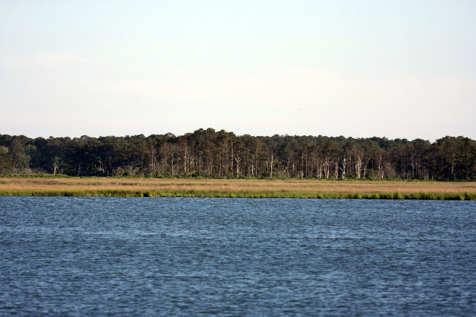 Assateague Island Vacation | 13-18 June 2014 | Sat, 14 Jun 2014 | 6:45:35 PM Assateague Island Vacation | 13-18 June 2014 | Sat, 14 Jun 2014 | 6:45:35 PM