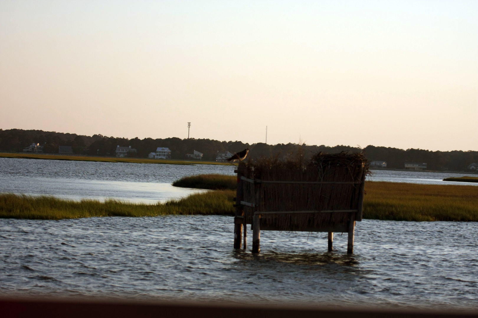 Assateague Island Vacation | 13-18 June 2014 | Sat, 14 Jun 2014 | 7:51:33 PM Assateague Island Vacation | 13-18 June 2014 | Sat, 14 Jun 2014 | 7:51:33 PM