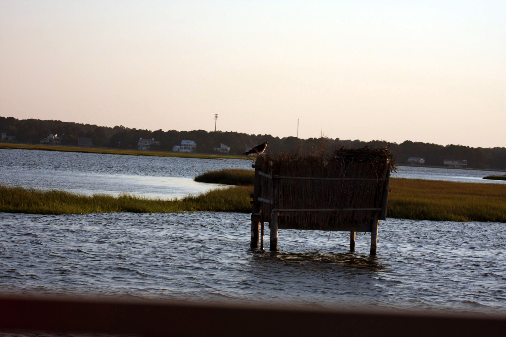 Assateague Island Vacation | 13-18 June 2014 | Sat, 14 Jun 2014 | 7:51:33 PM Assateague Island Vacation | 13-18 June 2014 | Sat, 14 Jun 2014 | 7:51:33 PM
