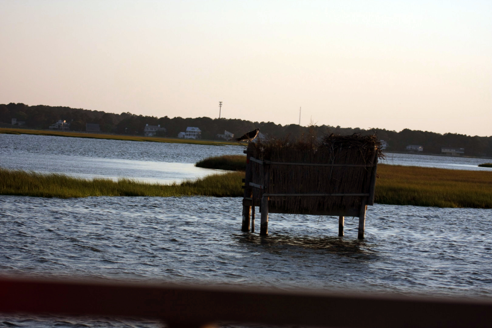 Assateague Island Vacation | 13-18 June 2014 | Sat, 14 Jun 2014 | 7:51:33 PM Assateague Island Vacation | 13-18 June 2014 | Sat, 14 Jun 2014 | 7:51:33 PM