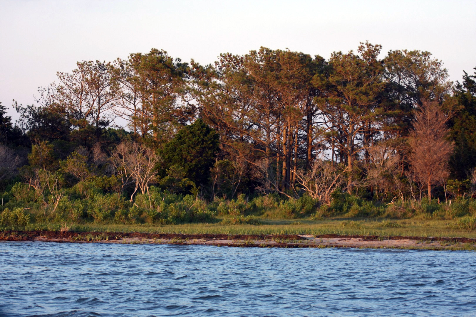 Assateague Island Vacation | 13-18 June 2014 | Sat, 14 Jun 2014 | 7:57:07 PM Assateague Island Vacation | 13-18 June 2014 | Sat, 14 Jun 2014 | 7:57:07 PM
