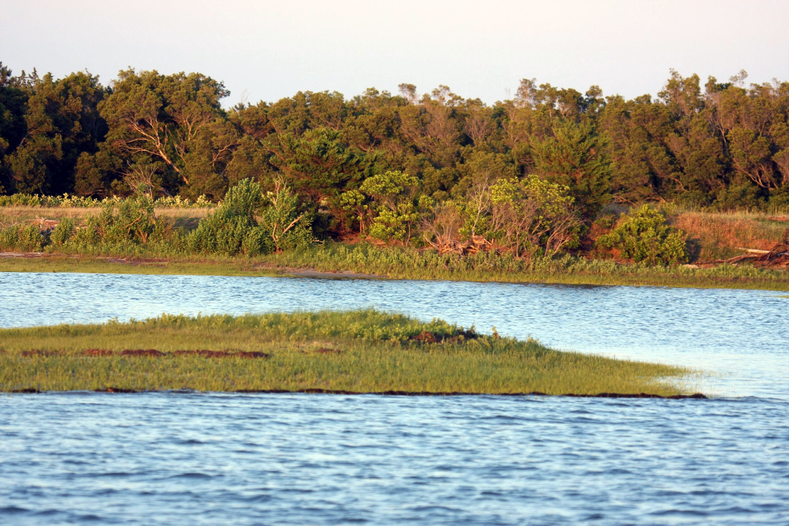 Assateague Island Vacation | 13-18 June 2014 | Sat, 14 Jun 2014 | 7:58:31 PM Assateague Island Vacation | 13-18 June 2014 | Sat, 14 Jun 2014 | 7:58:31 PM