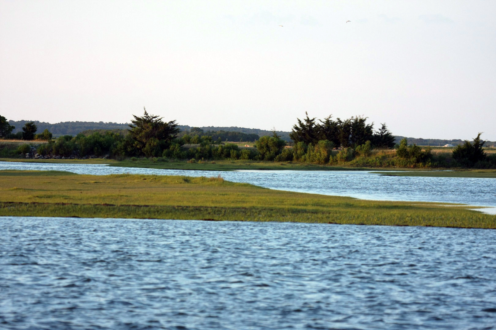 Assateague Island Vacation | 13-18 June 2014 | Sat, 14 Jun 2014 | 8:00:22 PM Assateague Island Vacation | 13-18 June 2014 | Sat, 14 Jun 2014 | 8:00:22 PM